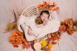 Evvie SEEL - PIXSEEL