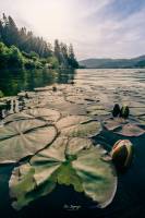 Eric ZUGMEYER - ZEFOTO