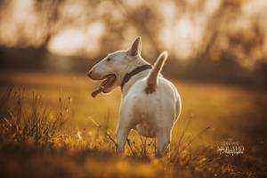 Jérémie MOLARO - F & F PHOTOGRAPHIE